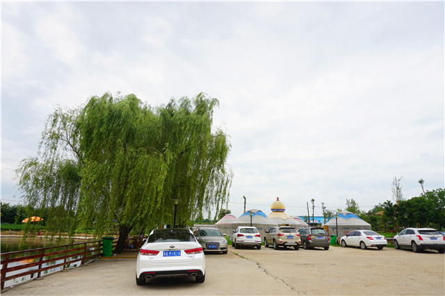 成都柴火鸡烤全羊江湖菜,岳塘区湘江小院烤全羊