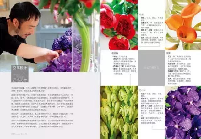 学习插花真的有前途吗,在家看书插花