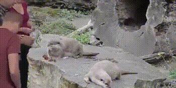 有这样的兄弟，迟早会被吓死的