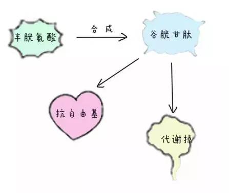 pola的美白丸跟胶原蛋白肽怎么样,pola美白丸怎么辨别真假