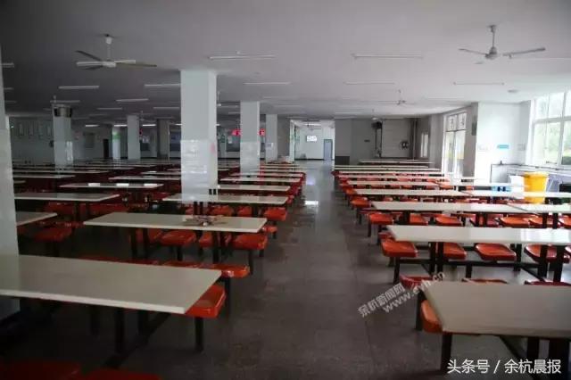 来不及道别就已永别,来不及告别青春已远逝