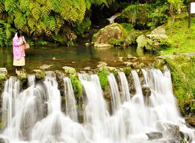 周一主力净流入前40只股,周一主力资金流出额度较大个股