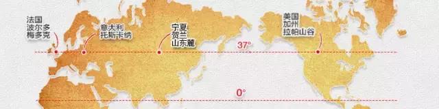 如何挑选一款适合自己的葡萄酒,小白怎么挑选适合自己的葡萄酒