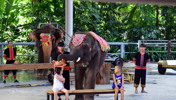 西双版纳在水一方泼水节,版纳哪里可以感受泼水