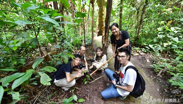 西双版纳在水一方泼水节,版纳哪里可以感受泼水