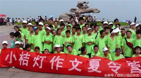 小学语文句型转换方法及技巧视频,四年级小学语文句型转换书籍