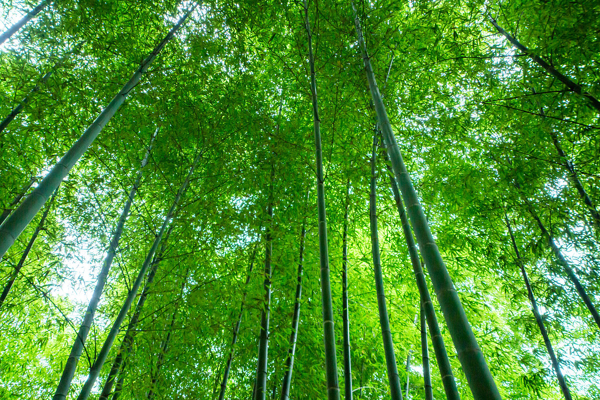 一站式解释,一站式使用技巧