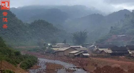 普洱茶南糯山是哪个茶区,南糯产区的普洱茶特点