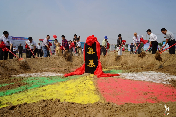 六月的巨鹿，“杏好”遇见你！