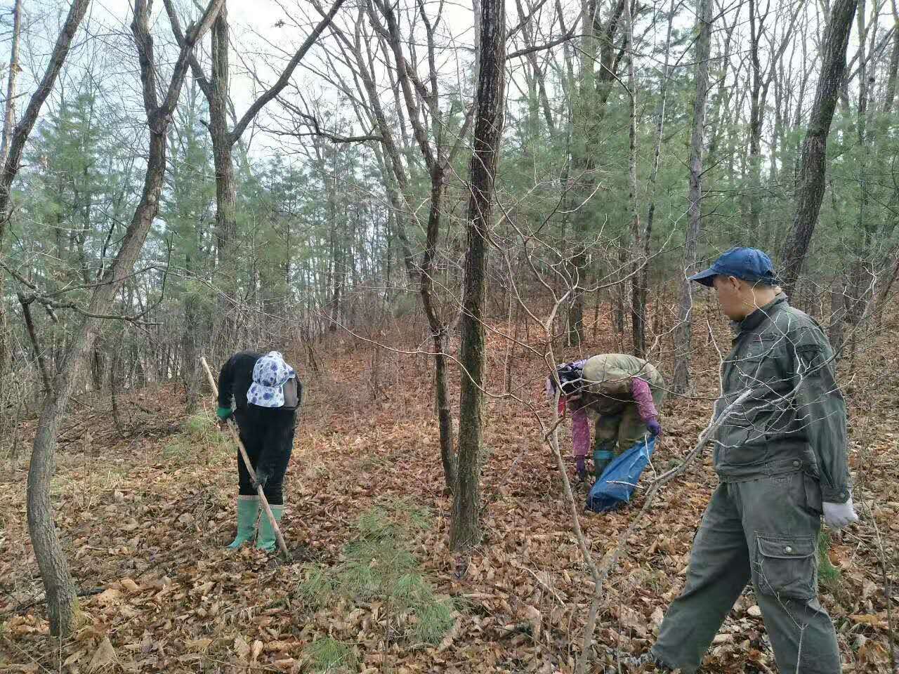 林业职工解雇了怎么办,林业六大工种取消了吗