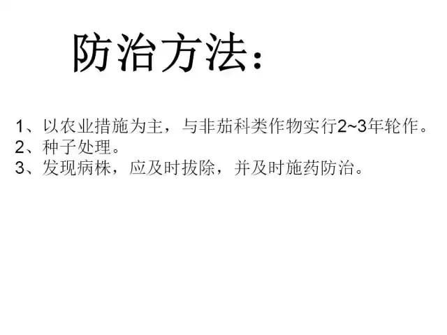辣椒卷叶病虫害图谱及防治方案,辣椒病虫害大全