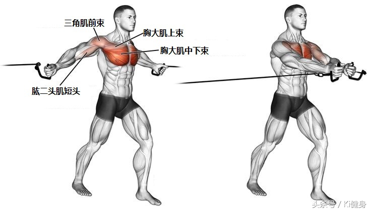 龙门架夹胸可以替换成别的动作么,龙门架夹胸安排在第几个动作