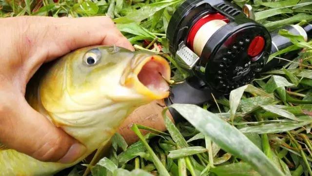 雷霆轮毂x5,鼓轮雷霆