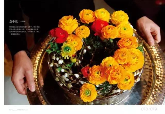 学习插花真的有前途吗,在家看书插花