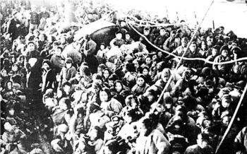 闯关东买人参后续,闯关东人参是真的还是假的