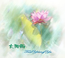 太阳雨古诗词,太阳雨原创诗歌