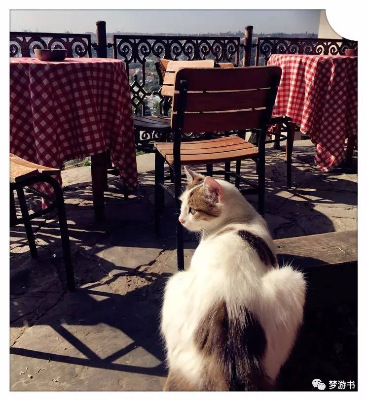 宋宋:看我从土耳其都买了些什么回来