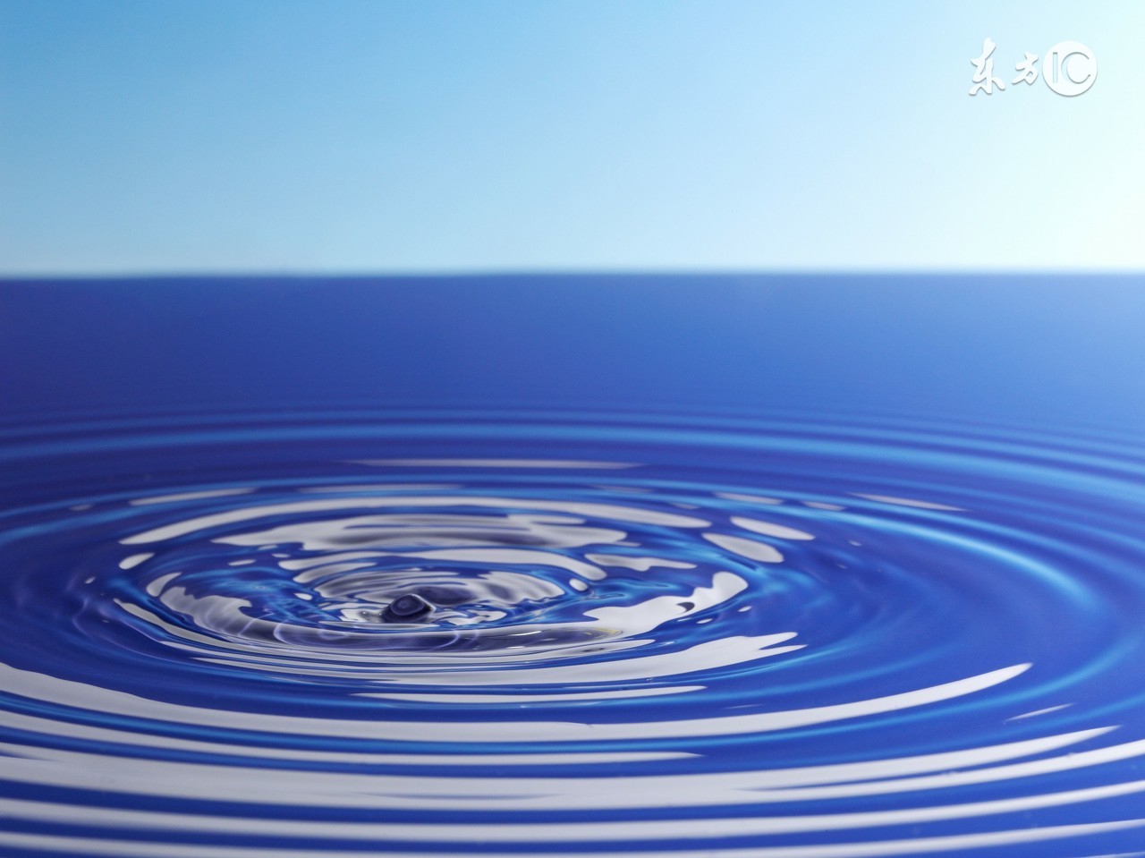 五月的风,心随风动:爱上诗第三期同题获奖作品展播