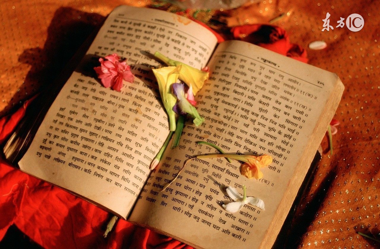 阳明教育,如何用阳明心学教育叛逆的孩子