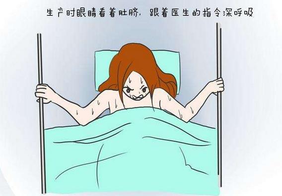 这四种孕妈生下的孩子更聪明,什么样的孕妇最受产房欢迎