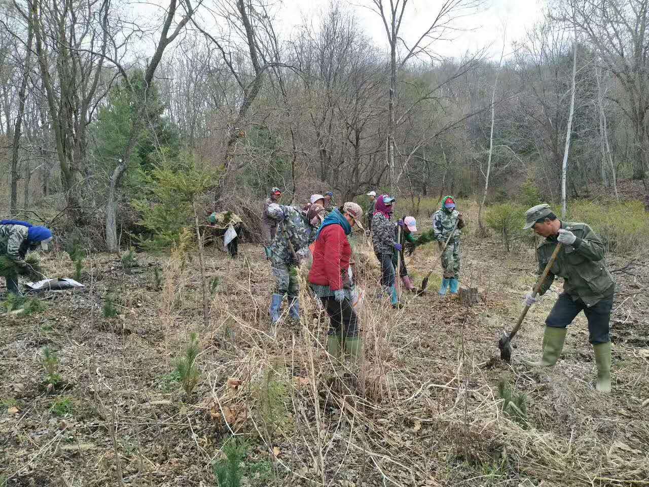 林业职工解雇了怎么办,林业六大工种取消了吗