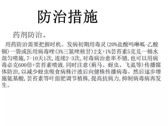 辣椒卷叶病虫害图谱及防治方案,辣椒病虫害大全