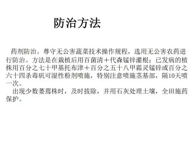 辣椒卷叶病虫害图谱及防治方案,辣椒病虫害大全