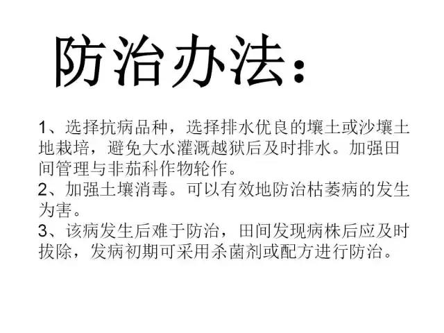 辣椒卷叶病虫害图谱及防治方案,辣椒病虫害大全