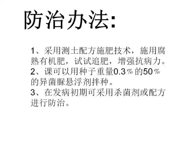 辣椒卷叶病虫害图谱及防治方案,辣椒病虫害大全