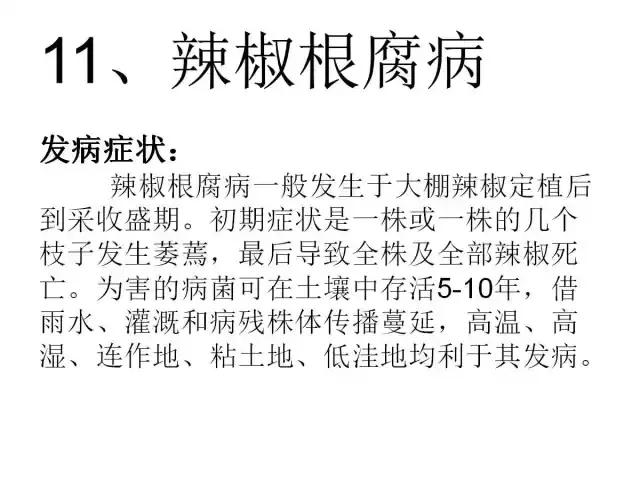 辣椒卷叶病虫害图谱及防治方案,辣椒病虫害大全