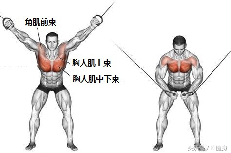 龙门架夹胸可以替换成别的动作么,龙门架夹胸安排在第几个动作