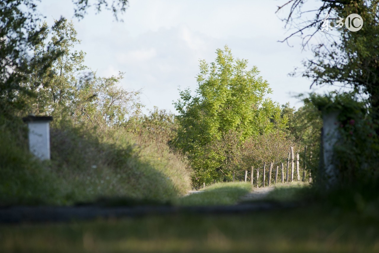 五月的风,心随风动:爱上诗第三期同题获奖作品展播