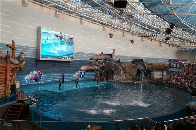 威海幸福指数,威海幸福指数的视频