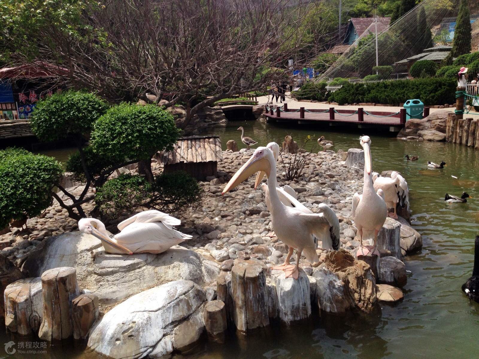 威海幸福指数,威海幸福指数的视频