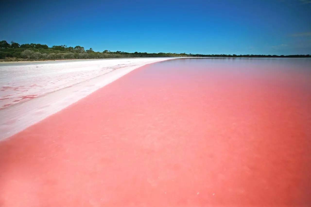 我一路向北离开有你的季节,我一路向北离开有你的季节什么梗