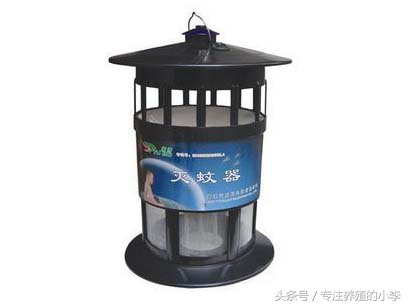 鸡被蚊子咬了怎样治疗,鸡被蚊子咬了眼睛瞎了