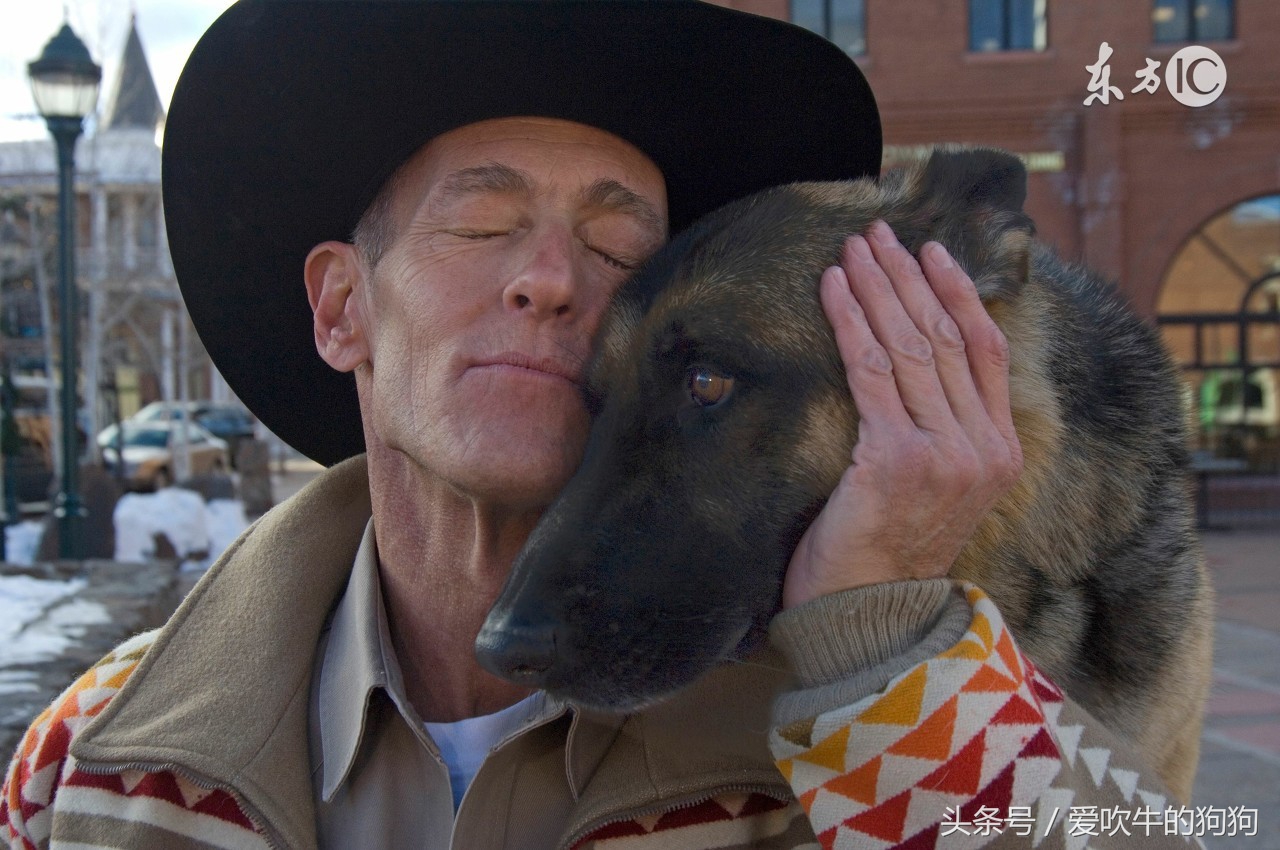 如何教牧羊犬定点大小便,怎么还能让牧羊犬不随便大小便