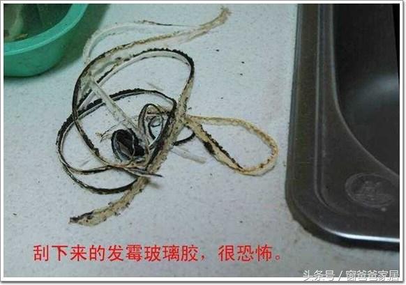 厨房水槽边缘发霉怎么处理,厨房水槽有厨余发霉发臭