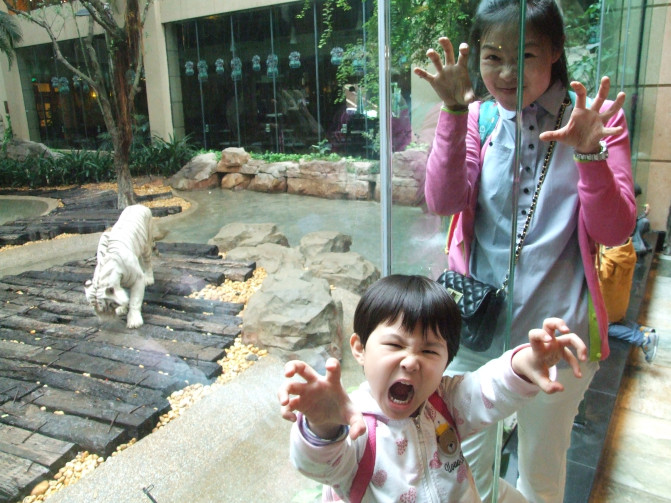 广州香港迪士尼一日游报团,长隆好玩还是迪士尼好玩