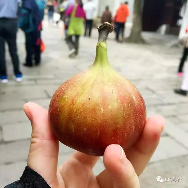 无锡一日游的攻略,无锡太湖一日游攻略周边美食