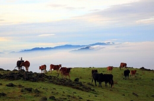 湖南汝城热水镇2024年发展规划,湖南汝城温泉镇介绍