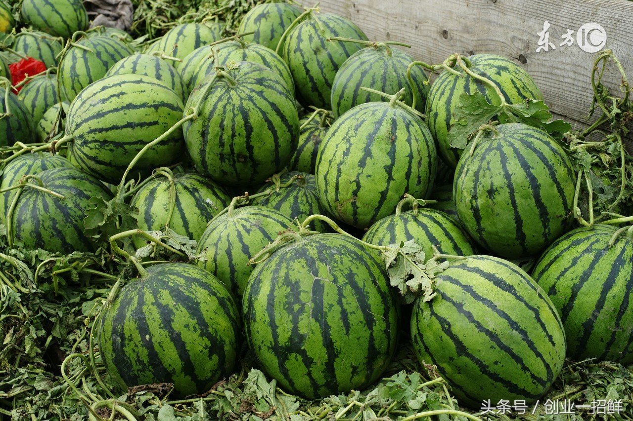 创业怎么搞定销路,创业最快方法