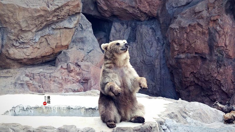 长隆亲子两大两小旅游攻略,珠海长隆横琴湾酒店亲子攻略