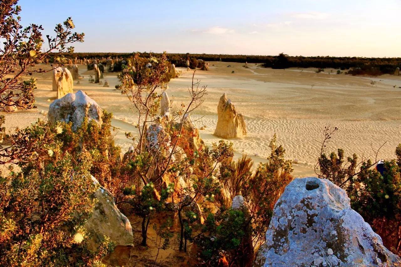 我一路向北离开有你的季节,我一路向北离开有你的季节什么梗