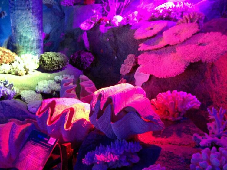 海南旅行三亚旅游攻略,海南三亚夫妻结伴旅行