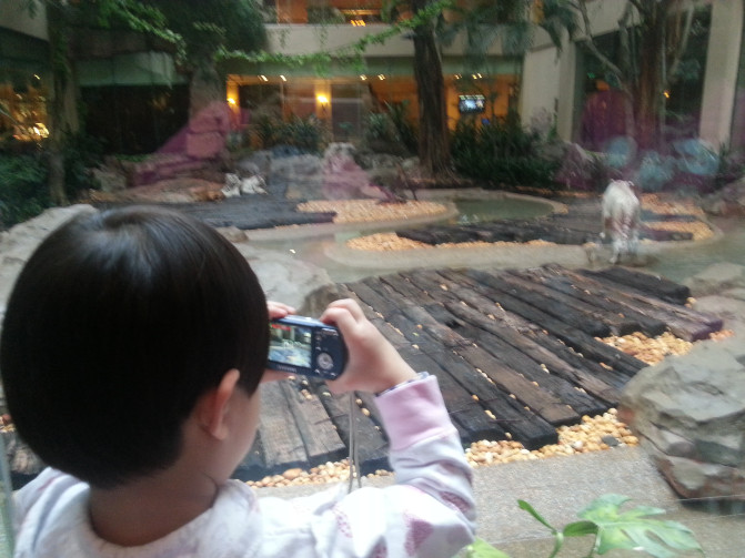 广州香港迪士尼一日游报团,长隆好玩还是迪士尼好玩