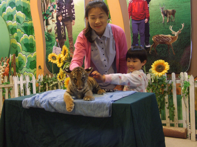 广州香港迪士尼一日游报团,长隆好玩还是迪士尼好玩