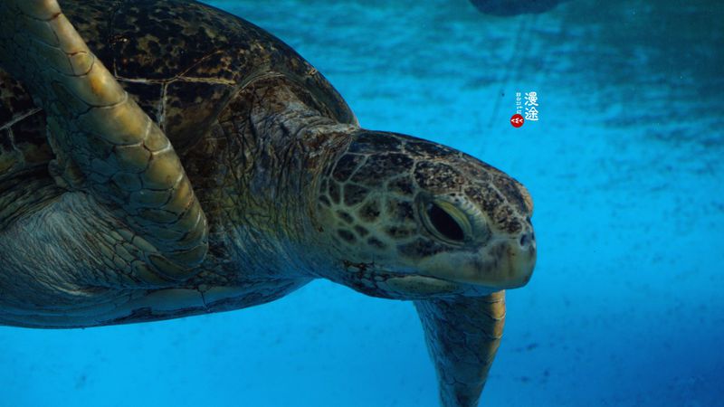 长隆亲子两大两小旅游攻略,珠海长隆横琴湾酒店亲子攻略