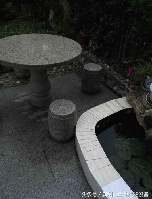 简单实用小庭院鱼池,庭院鱼池改造设计图片