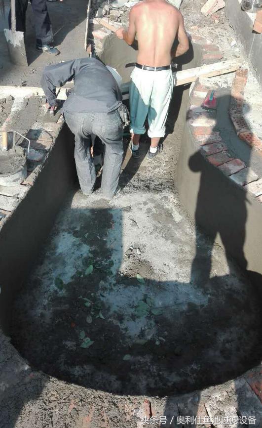 简单实用小庭院鱼池,庭院鱼池改造设计图片